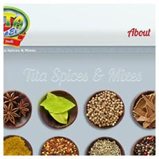 Website Tita Impex